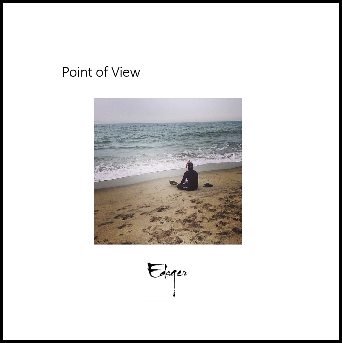 Front cover of Point of View